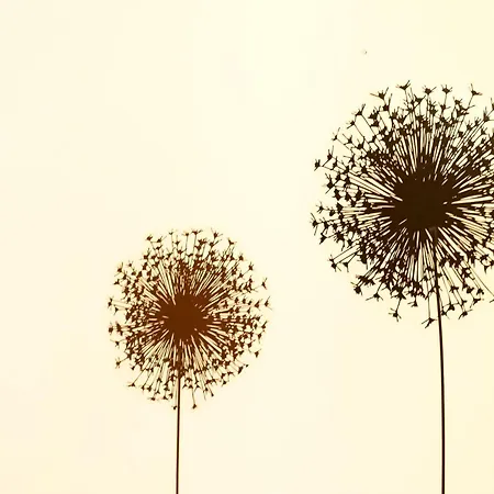 Bell Memories- Two Bedroom With Shared Terrace And Sea View A5 Apartament *