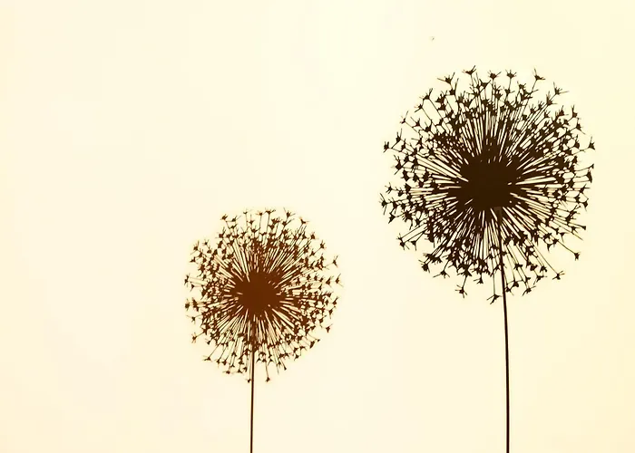 Bell Memories- Two Bedroom With Shared Terrace And Sea View A5 Apartament *