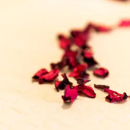 Bell Memories- Two Bedroom With Shared Terrace And Sea View A5 Appartamento *