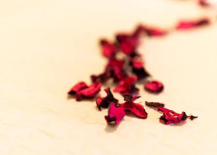 Bell Memories- Two Bedroom With Shared Terrace And Sea View A5 아파트 *